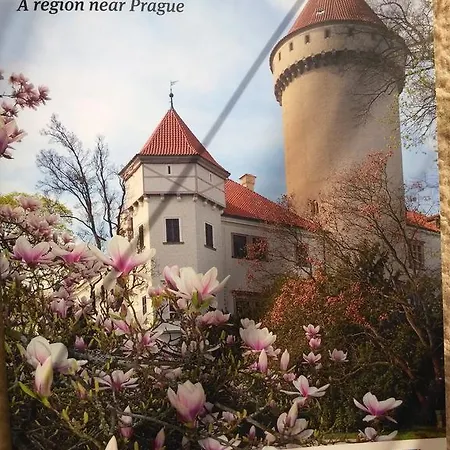 Сasa de vacaciones Ubytování Irena