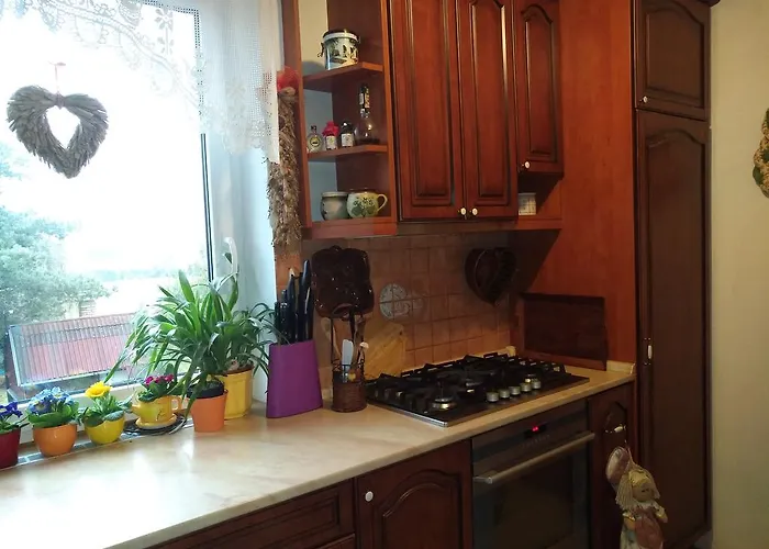 Irena بينيسوف