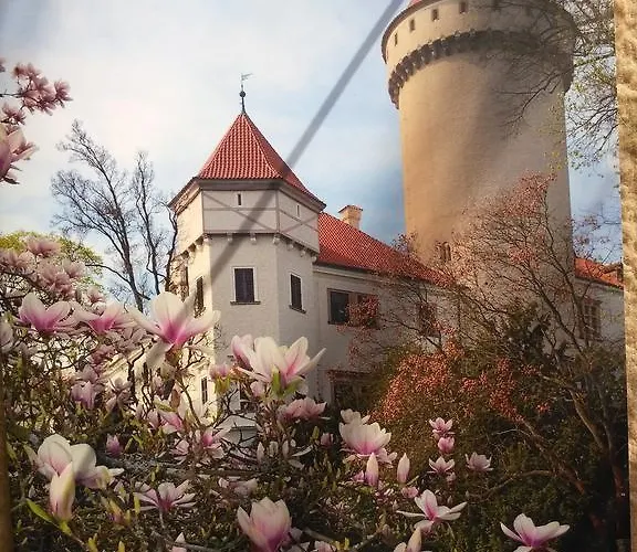 بيت للعطل Irena